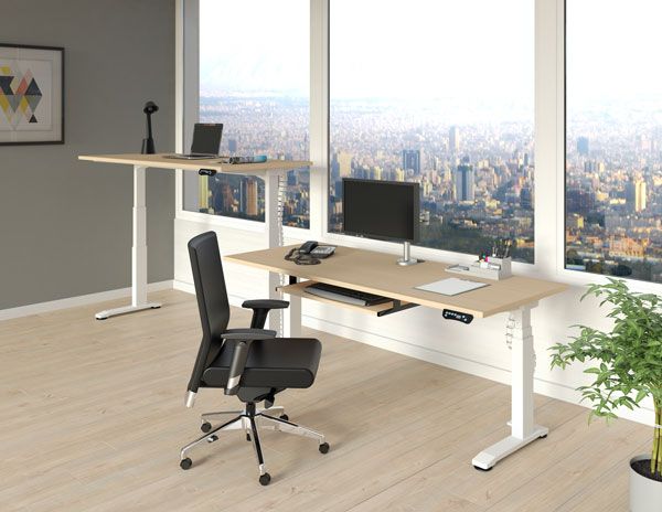 Electric Height Adjustable Desk: Shell (Available in 19 Finishes)